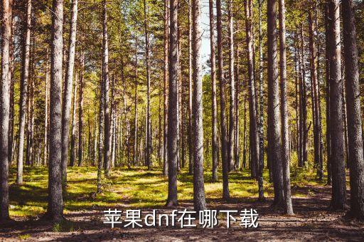 苹果dnf在哪下载