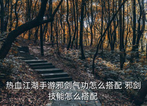 热血江湖手游邪剑气功怎么搭配 邪剑技能怎么搭配