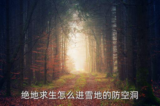 绝地求生怎么进雪地的防空洞