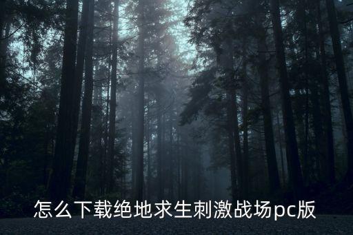 怎么下载绝地求生刺激战场pc版