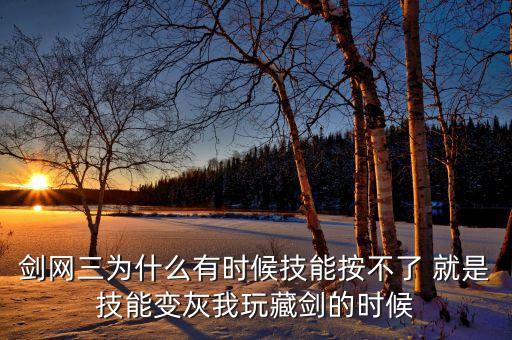 剑网三为什么有时候技能按不了 就是技能变灰我玩藏剑的时候
