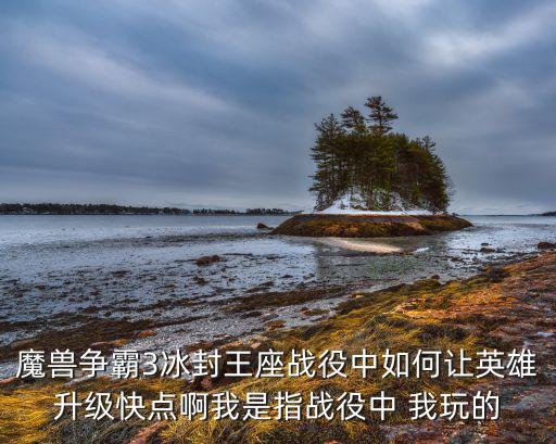 魔兽争霸3冰封王座战役中如何让英雄升级快点啊我是指战役中 我玩的