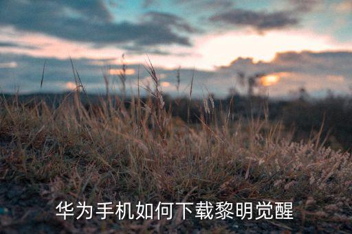 代号生机怎么下载手游版本，华为手机如何下载黎明觉醒