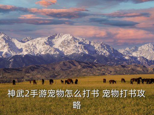 神武2手游宠物书怎么打，神武手游宠物金刚狼打书攻略