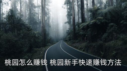 桃园怎么赚钱 桃园新手快速赚钱方法
