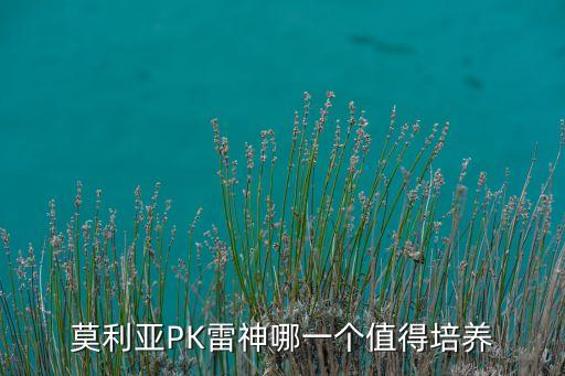 莫利亚PK雷神哪一个值得培养