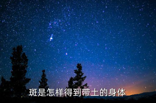 斑是怎样得到带土的身体
