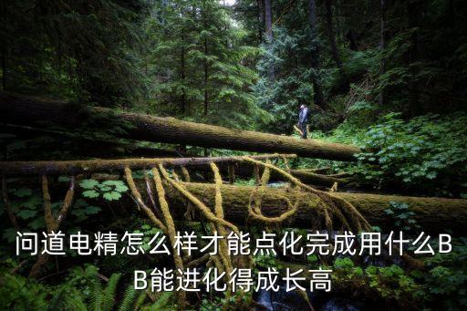 问道电精怎么样才能点化完成用什么BB能进化得成长高