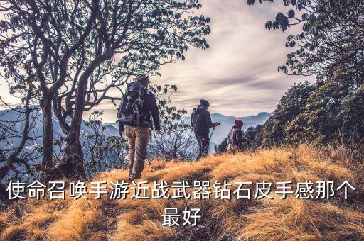使命召唤手游近战武器钻石皮手感那个最好