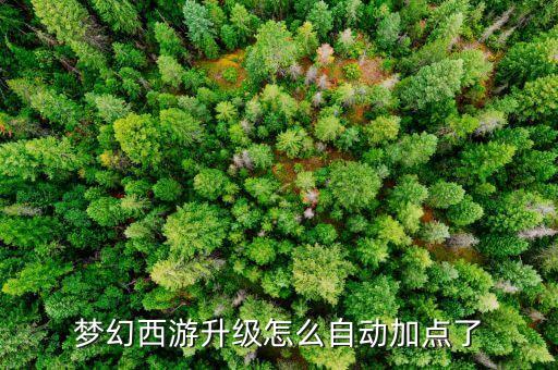 梦幻西游升级怎么自动加点了