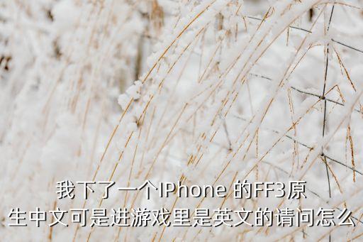 我下了一个IPhone 的FF3原生中文可是进游戏里是英文的请问怎么