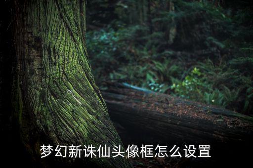 诛仙手游自定义头像怎么弄，梦幻新诛仙头像框怎么设置
