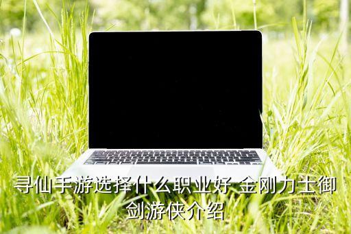 手游版三国战纪无双战魂怎么选，手游 三国战神 豪杰的战魂 用什么的好