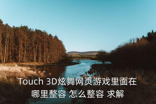 Touch 3D炫舞网页游戏里面在哪里整容 怎么整容 求解