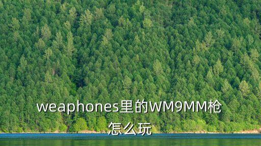 weaphones里的WM9MM枪怎么玩