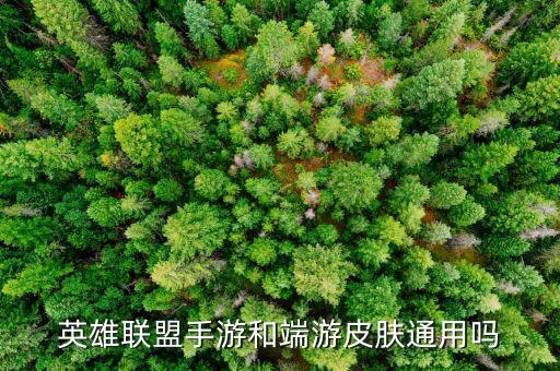 英雄联盟手游和端游皮肤通用吗