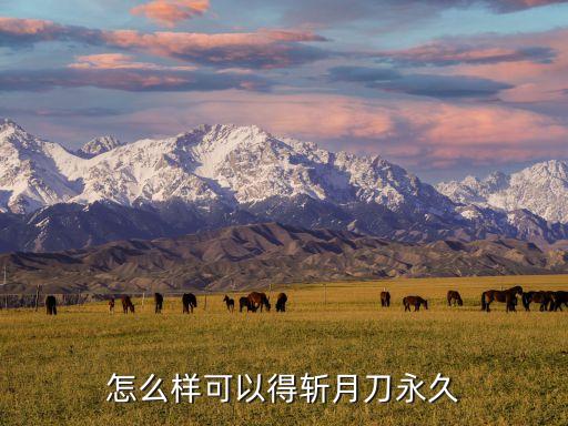 怎么样可以得斩月刀永久