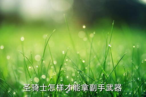 圣骑士怎样才能拿副手武器