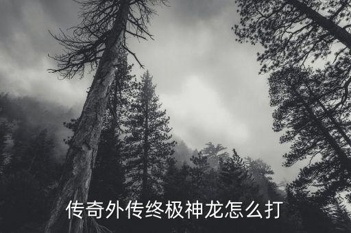 传奇外传终极神龙怎么打