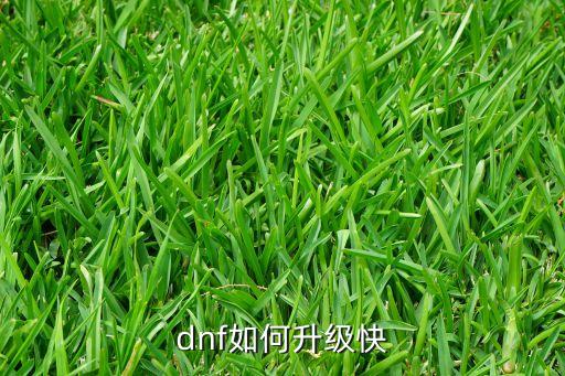 dnf如何升级快