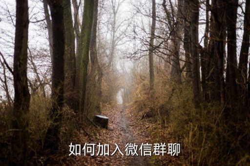 天刀手游怎么加微信群聊，如何加群