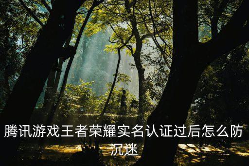 腾讯游戏王者荣耀实名认证过后怎么防沉迷