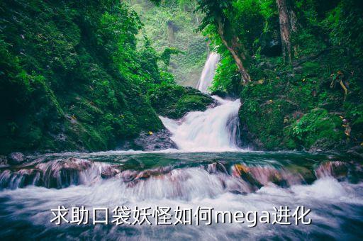 求助口袋妖怪如何mega进化