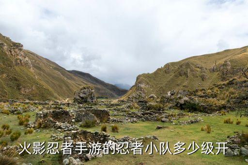 新斗罗大陆手游怎么扫荡副本，为什么这个游戏没有一键扫荡