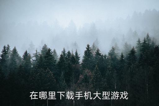 在哪里下载手机大型游戏