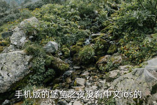 手机版的堡垒之夜没有中文ios的