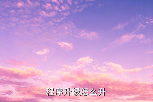 2k20手游怎么升级程序，程序升级怎么升