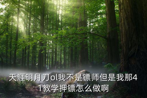 天涯明月刀ol我不是镖师但是我那41教学押镖怎么做啊