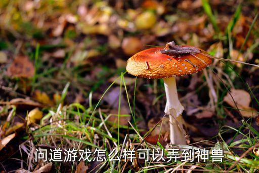 问道游戏怎么样可以弄到神兽