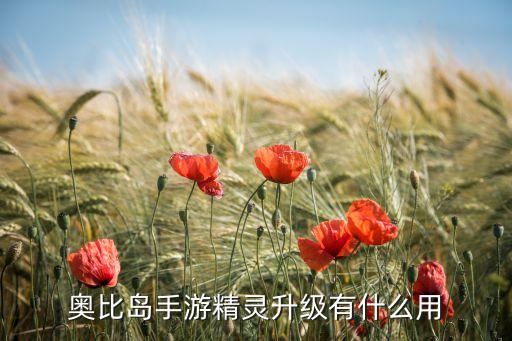 奥比岛手游怎么提升精灵，奥比岛精灵血量怎么增加