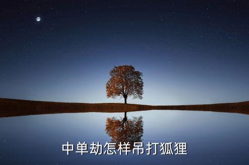 中单劫怎样吊打狐狸