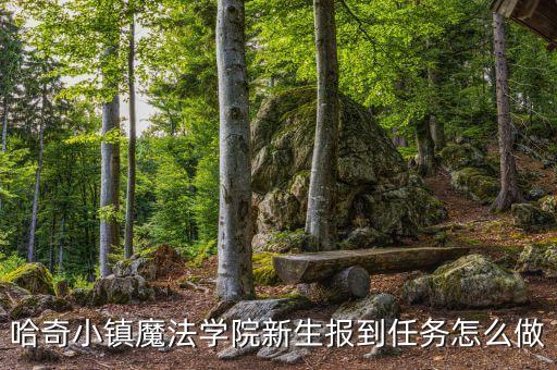 哈奇小镇魔法学院新生报到任务怎么做