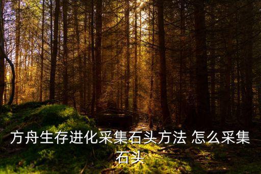 方舟手游琥珀矿石怎么获得，方舟生存进化石头怎么弄 游戏中石头在哪获得