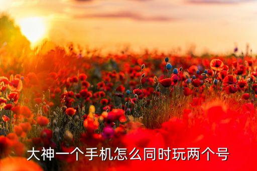 大神一个手机怎么同时玩两个号