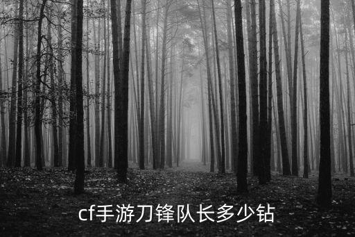 cf手游刀锋队长多少钻