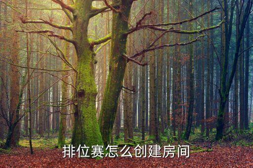 英雄联盟手游排位房间怎么创建，排位赛怎么创建房间