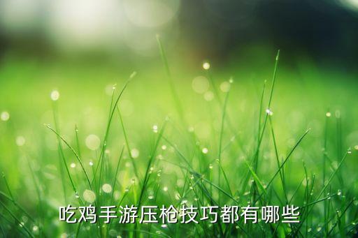 吃鸡手游压枪技巧都有哪些