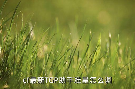 cf最新TGP助手准星怎么调