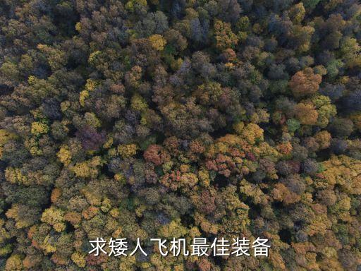 求矮人飞机最佳装备