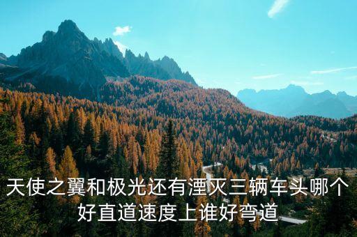 天使之翼和极光还有湮灭三辆车头哪个好直道速度上谁好弯道