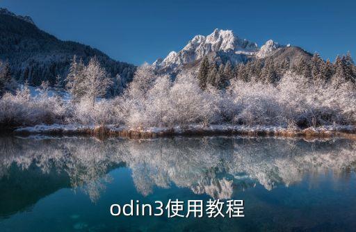 odin3使用教程