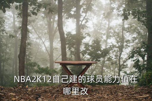 NBA2K12自己建的球员能力值在哪里改