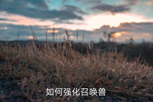 如何强化召唤兽