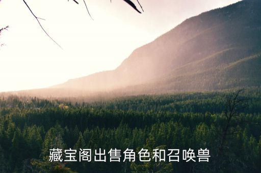 藏宝阁出售角色和召唤兽