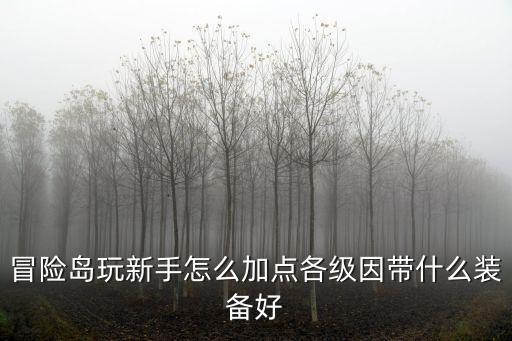 冒险岛手游复古传奇怎么加点，冒险岛玩新手怎么加点各级因带什么装备好