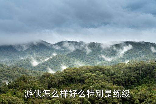 流星蝴蝶剑手游游侠怎么样，游侠怎么样好么特别是练级